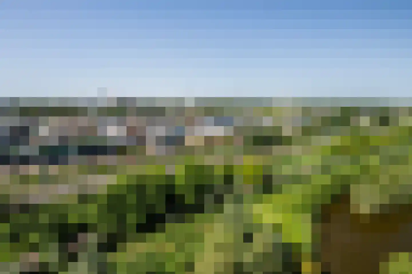 Coornhertstraat 159 Vlaardingen thumbnail 13