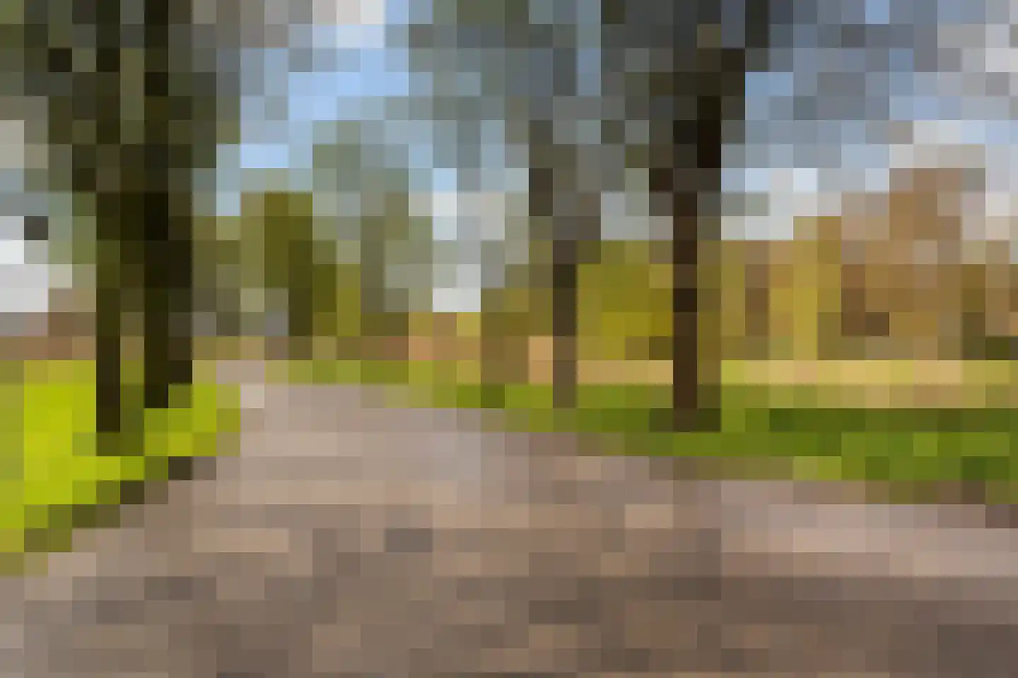 Coornhertstraat 179 Vlaardingen thumbnail 34