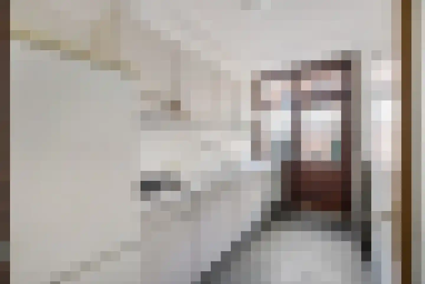 Coornhertstraat 18 Utrecht thumbnail 11