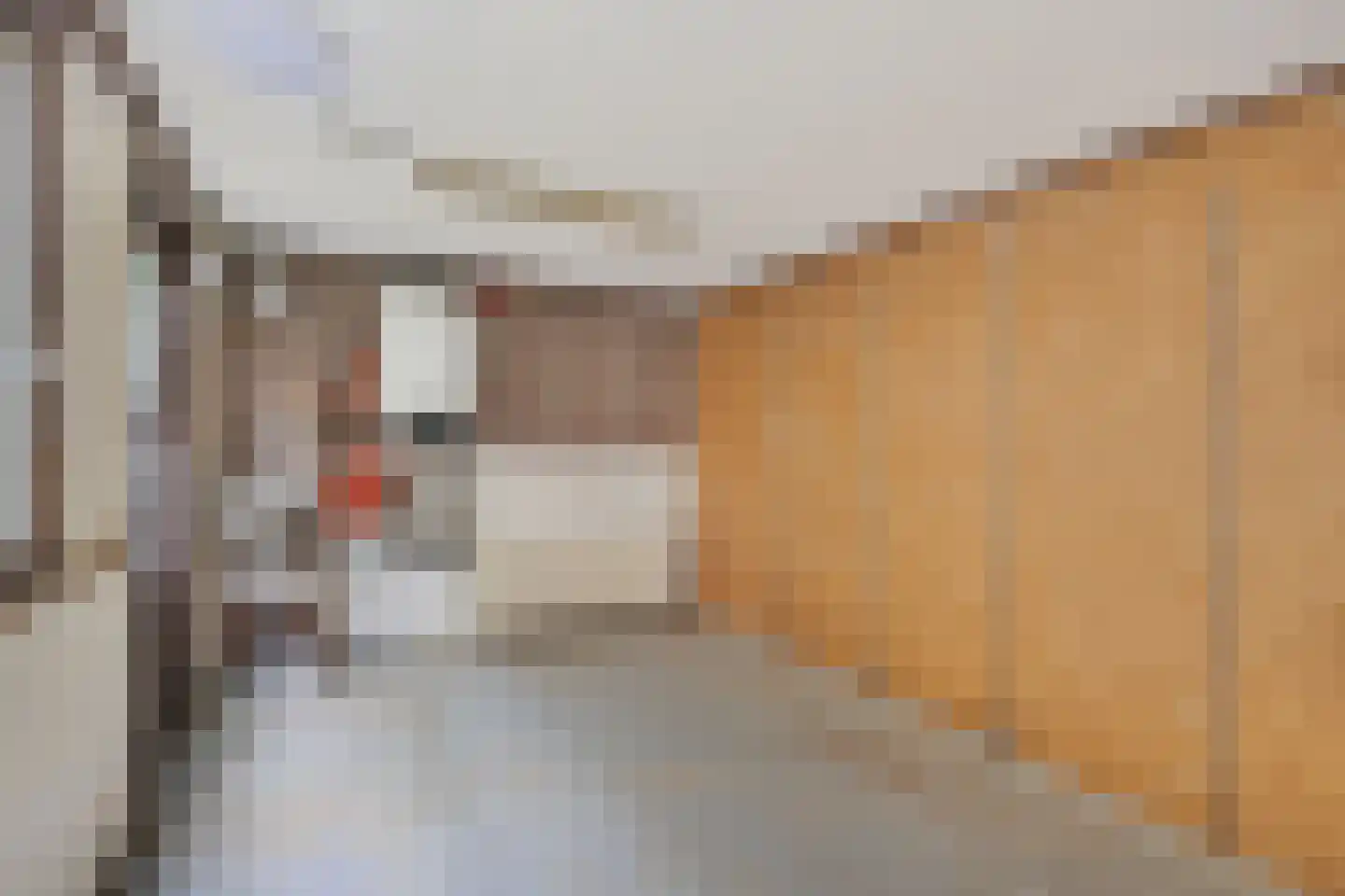 Coornhertstraat 18 Utrecht thumbnail 24