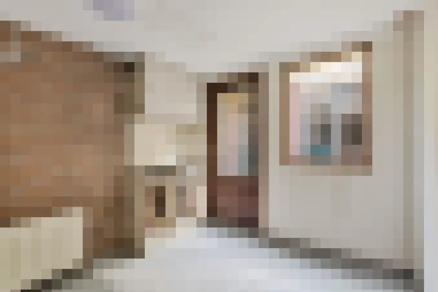 Coornhertstraat 18 Utrecht thumbnail 26