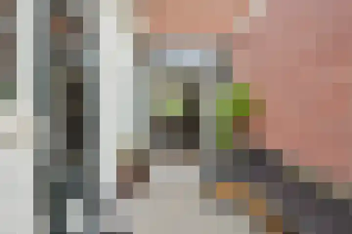 Coornhertstraat 2 A Leiden thumbnail 37