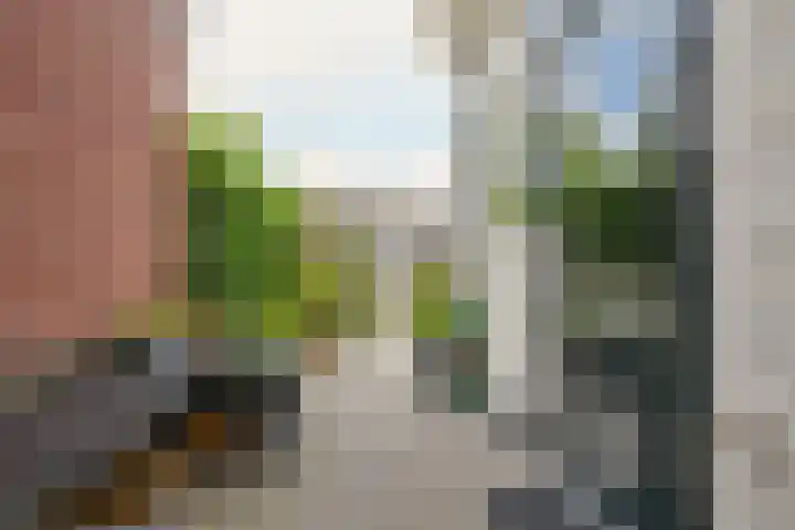 Coornhertstraat 2 A Leiden thumbnail 38