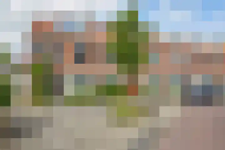 Coornhertstraat 2 A Leiden thumbnail 5