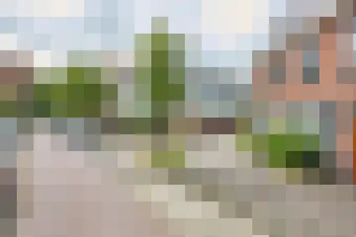 Coornhertstraat 2 A Leiden thumbnail 6