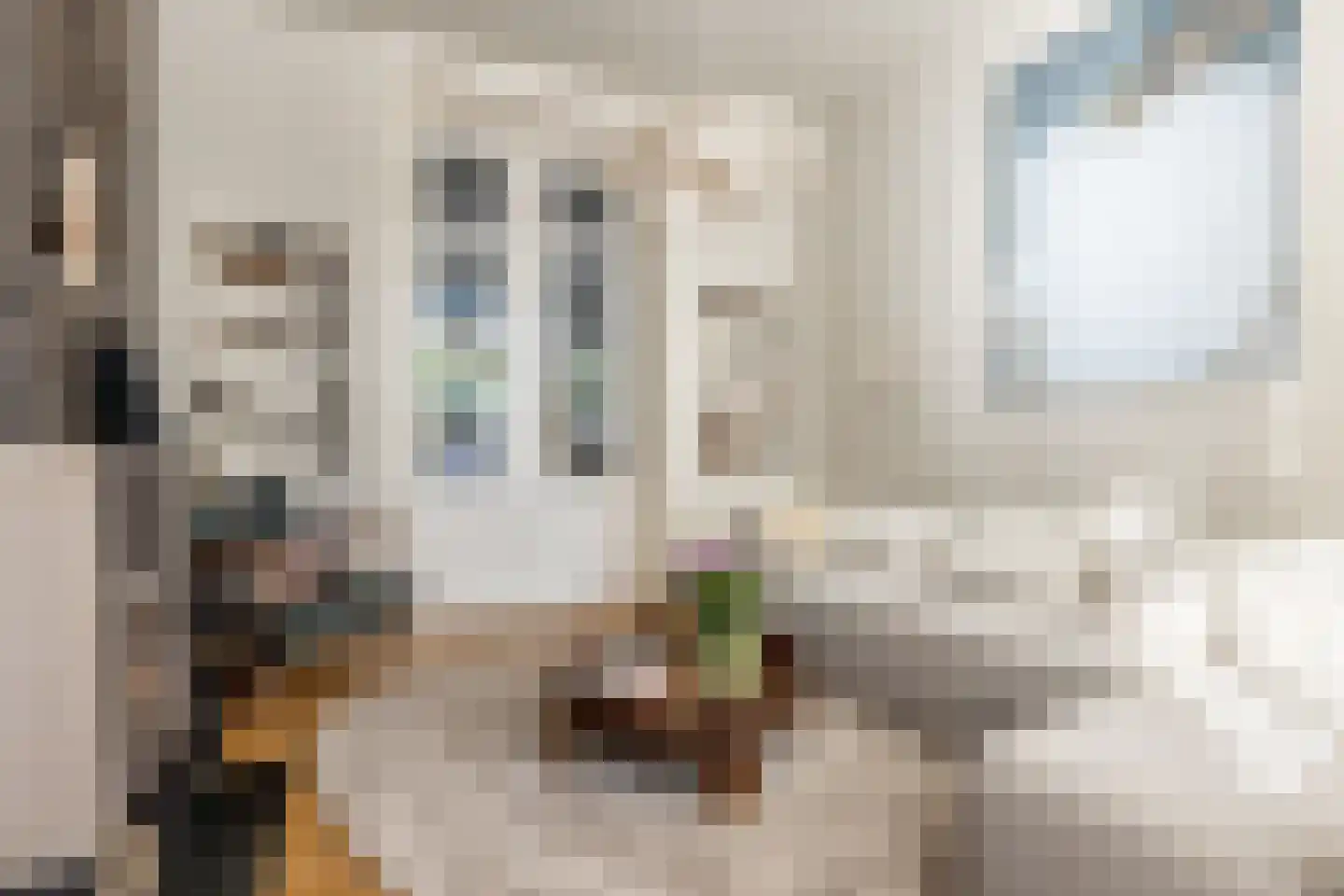 Coornhertstraat 2 Haarlem thumbnail 14
