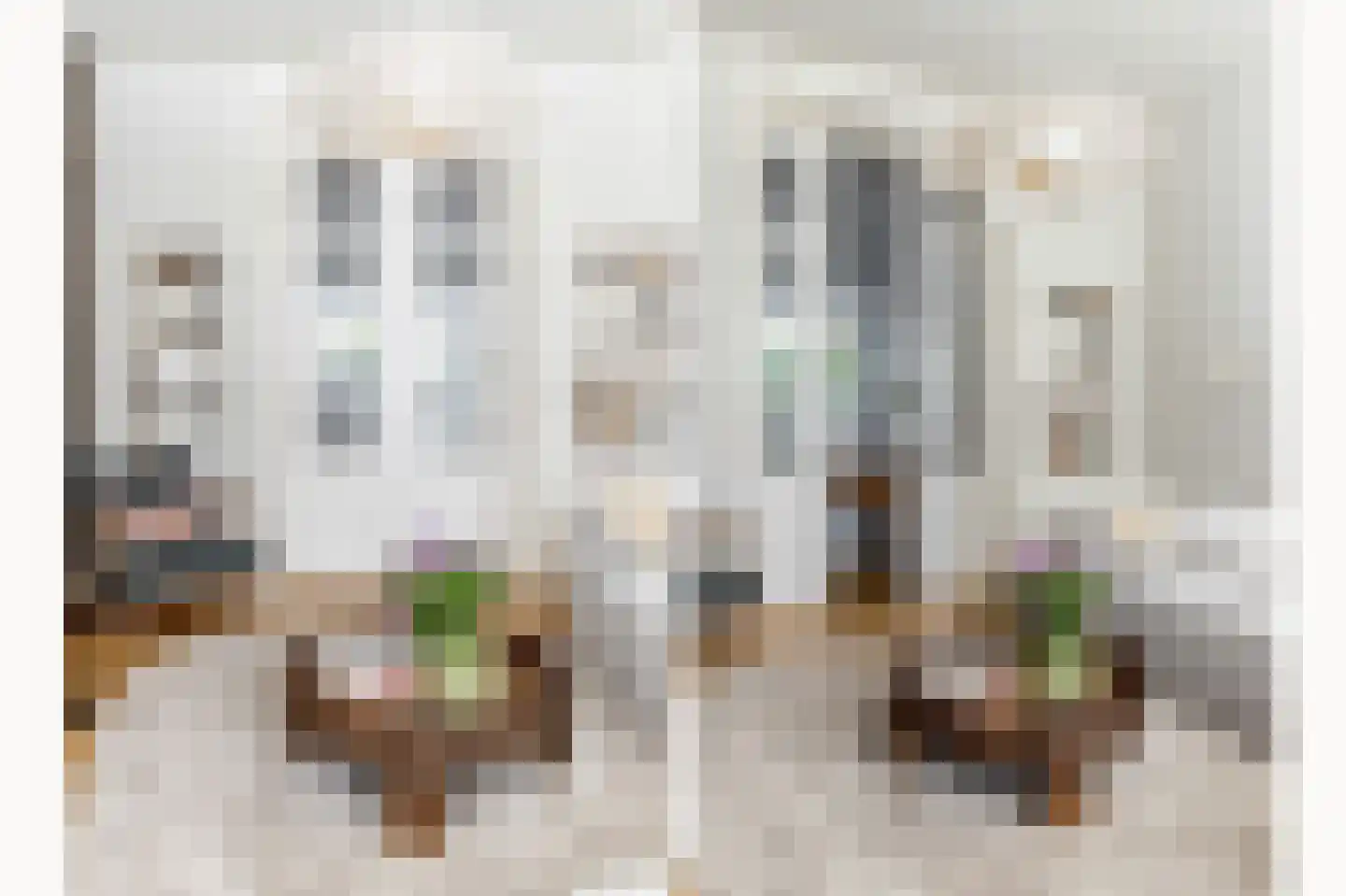 Coornhertstraat 2 Haarlem thumbnail 15