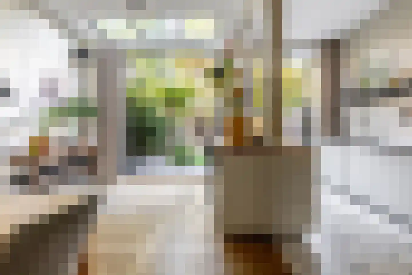 Coornhertstraat 2 Haarlem thumbnail 17