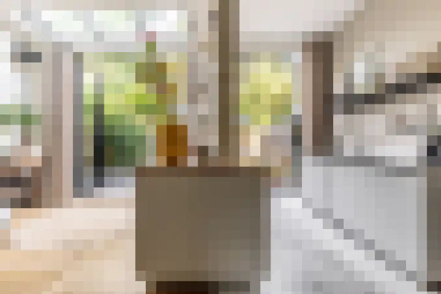 Coornhertstraat 2 Haarlem thumbnail 18