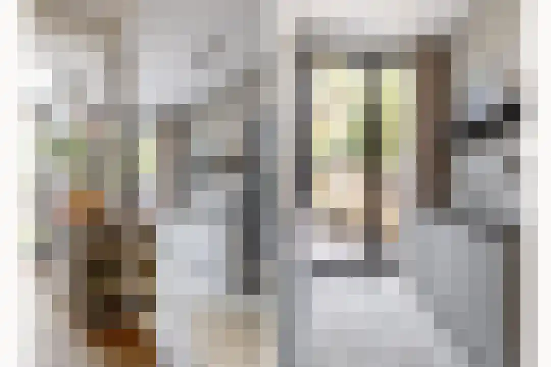 Coornhertstraat 2 Haarlem thumbnail 24