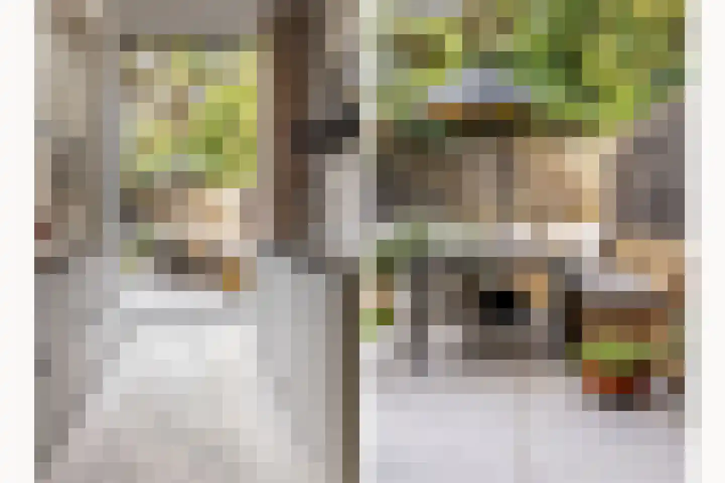 Coornhertstraat 2 Haarlem thumbnail 26