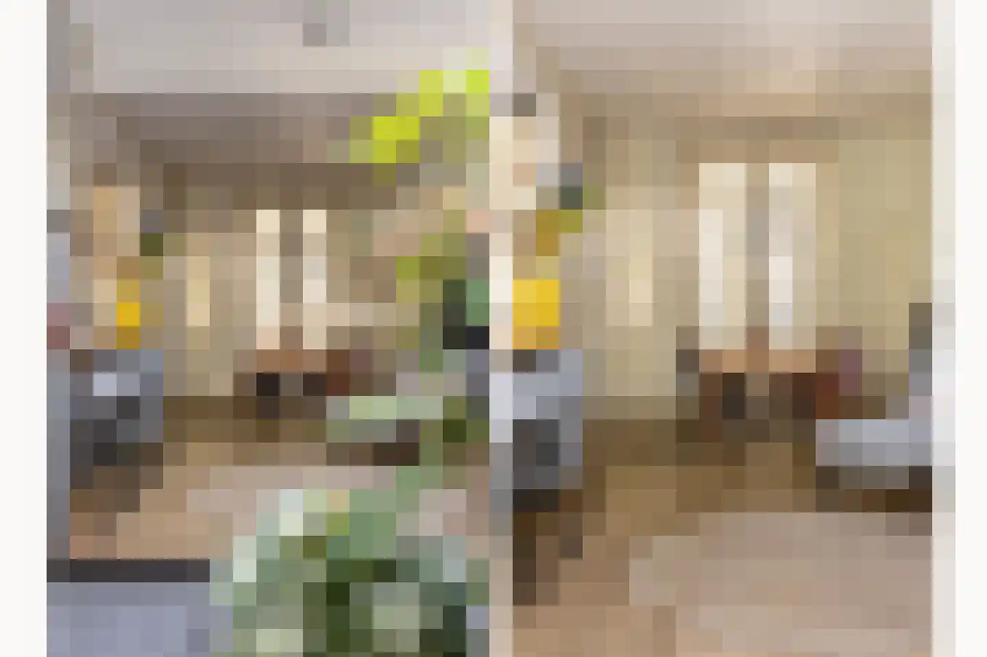 Coornhertstraat 2 Haarlem thumbnail 27