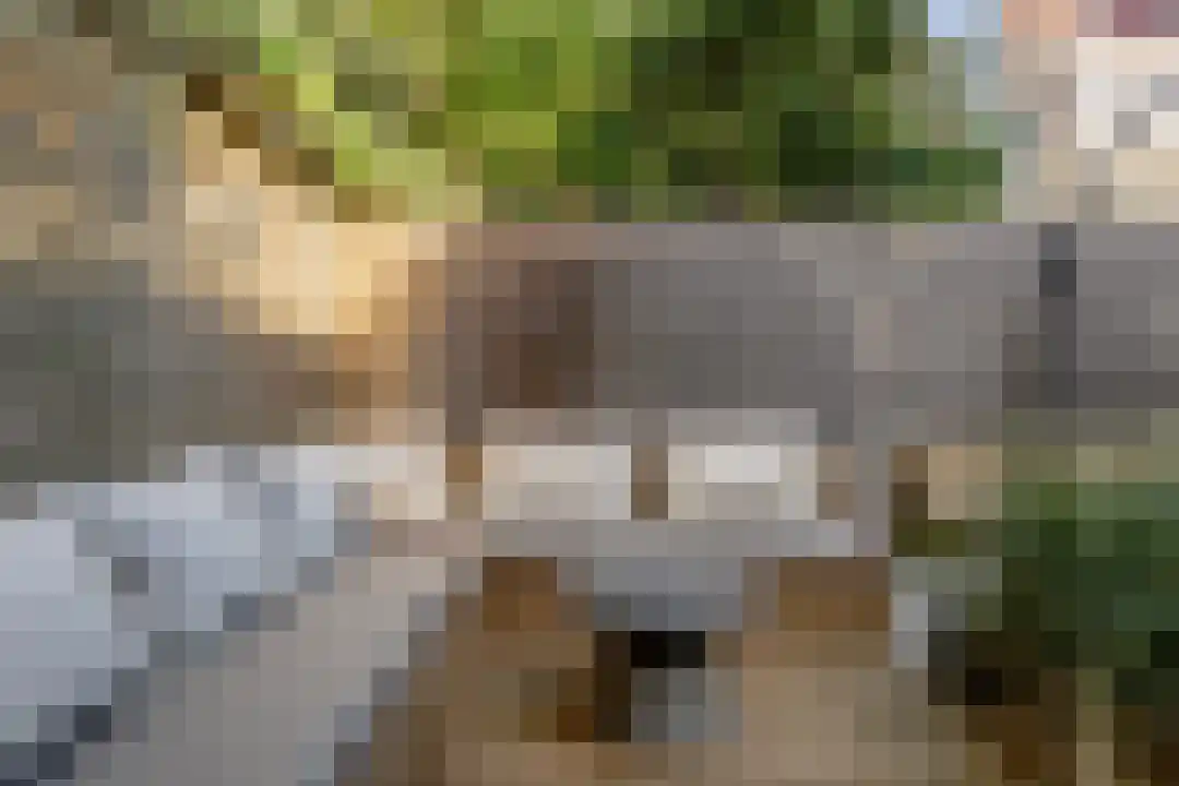 Coornhertstraat 2 Haarlem thumbnail 32