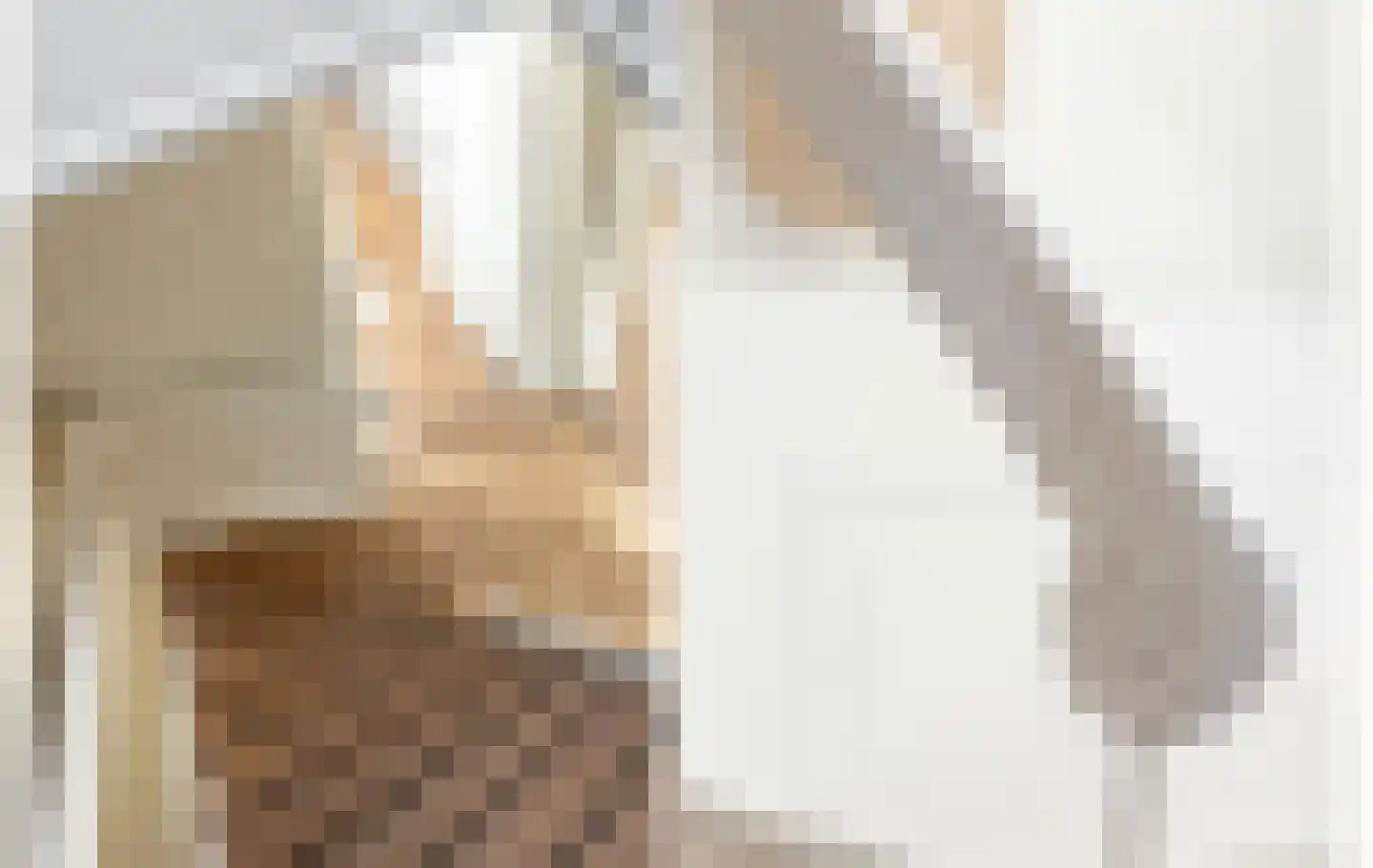 Coornhertstraat 2 Haarlem thumbnail 36