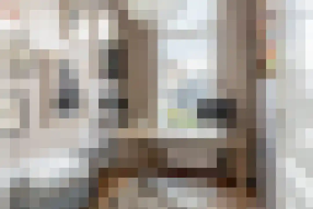 Coornhertstraat 2 Haarlem thumbnail 38