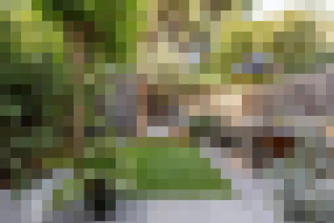 Coornhertstraat 2 Haarlem thumbnail 4
