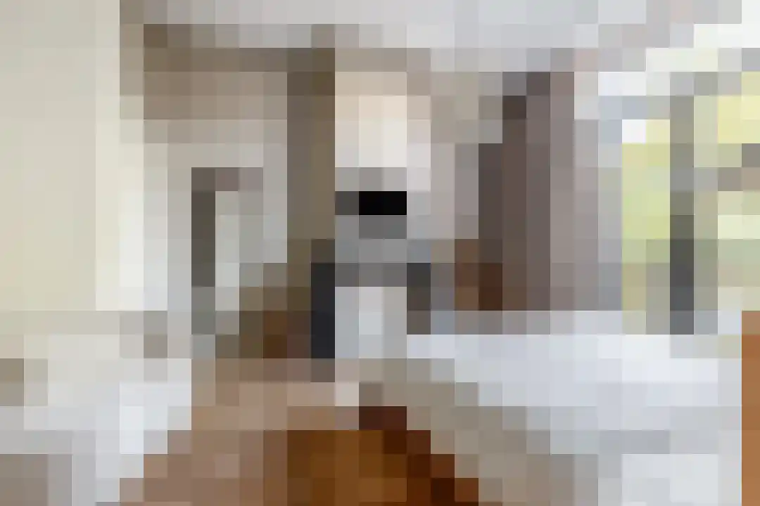 Coornhertstraat 2 Haarlem thumbnail 45