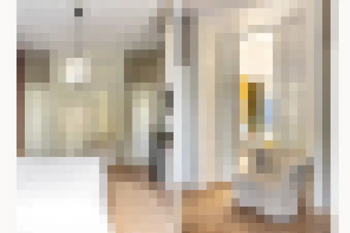 Coornhertstraat 2 Haarlem thumbnail 51