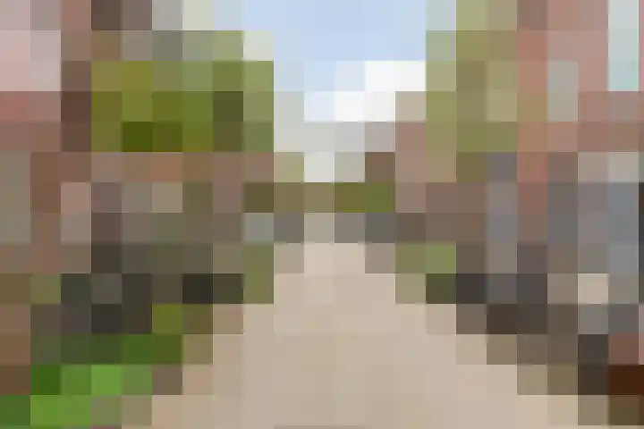 Coornhertstraat 24 A Utrecht thumbnail 21