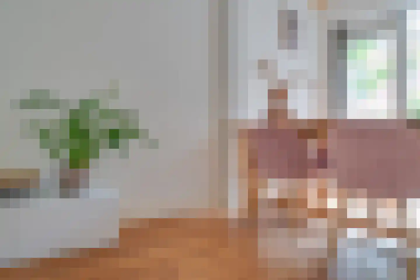 Coornhertstraat 24 Utrecht thumbnail 13