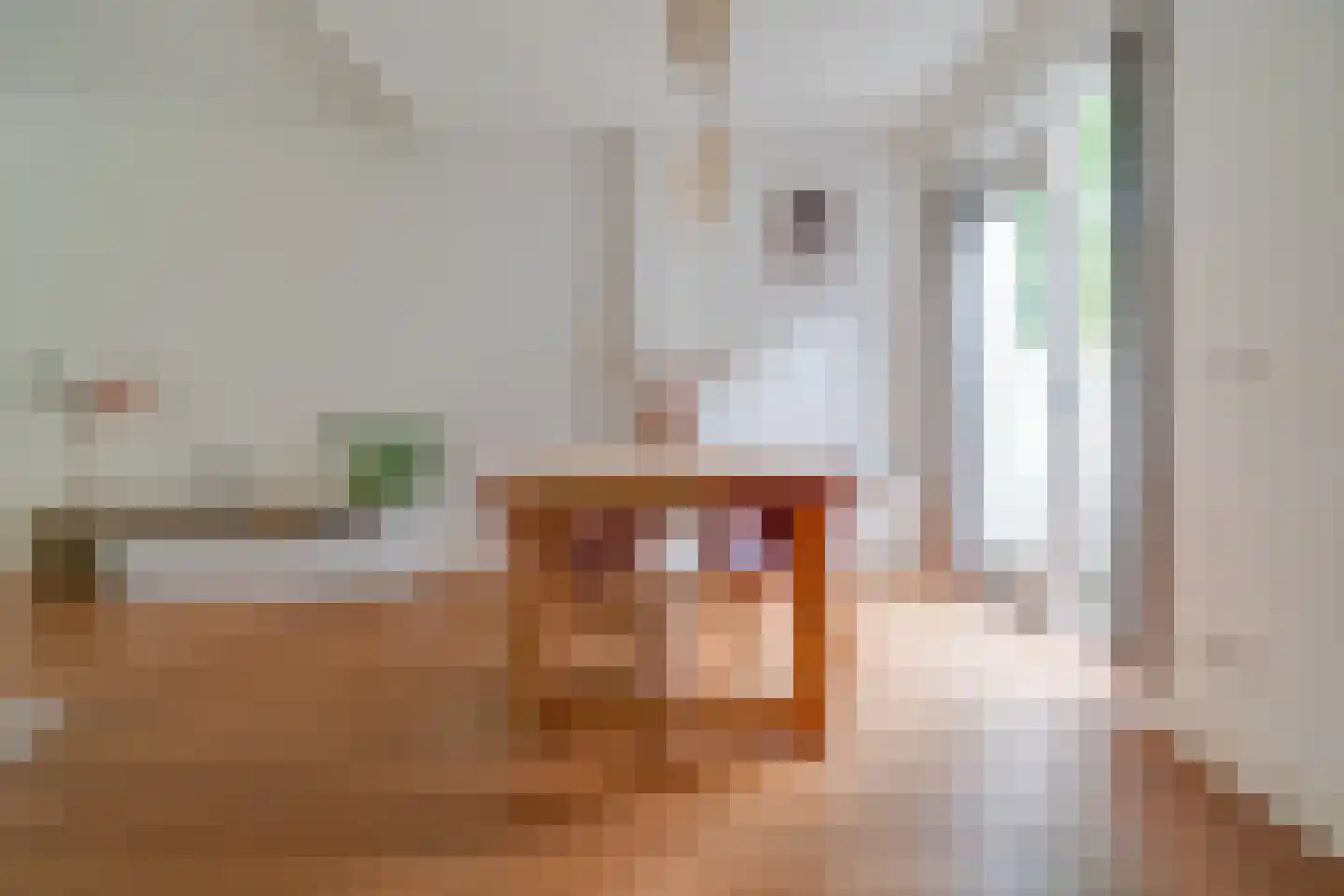 Coornhertstraat 24 Utrecht thumbnail 14