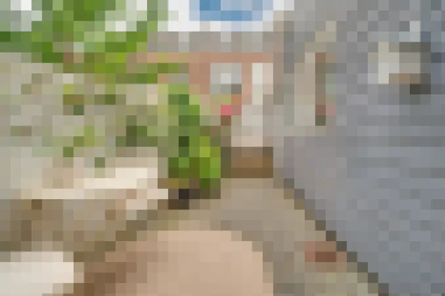Coornhertstraat 24 Utrecht thumbnail 18