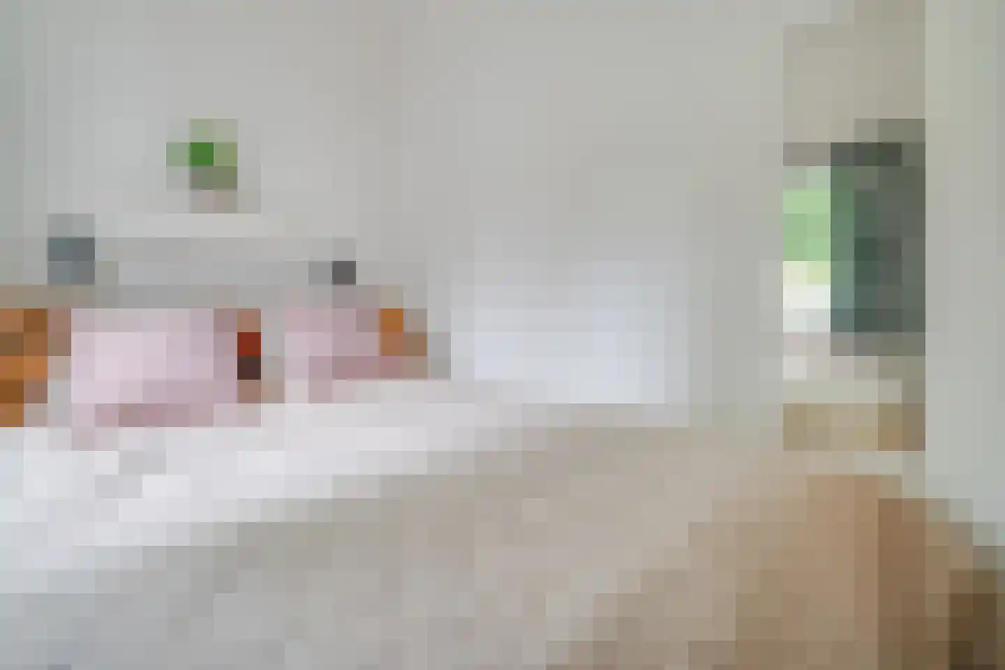 Coornhertstraat 24 Utrecht thumbnail 21