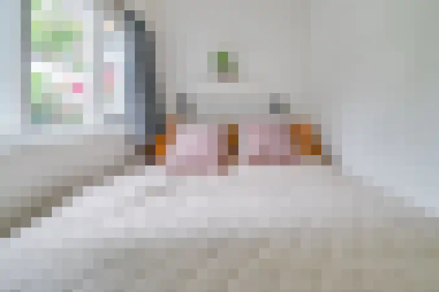 Coornhertstraat 24 Utrecht thumbnail 23