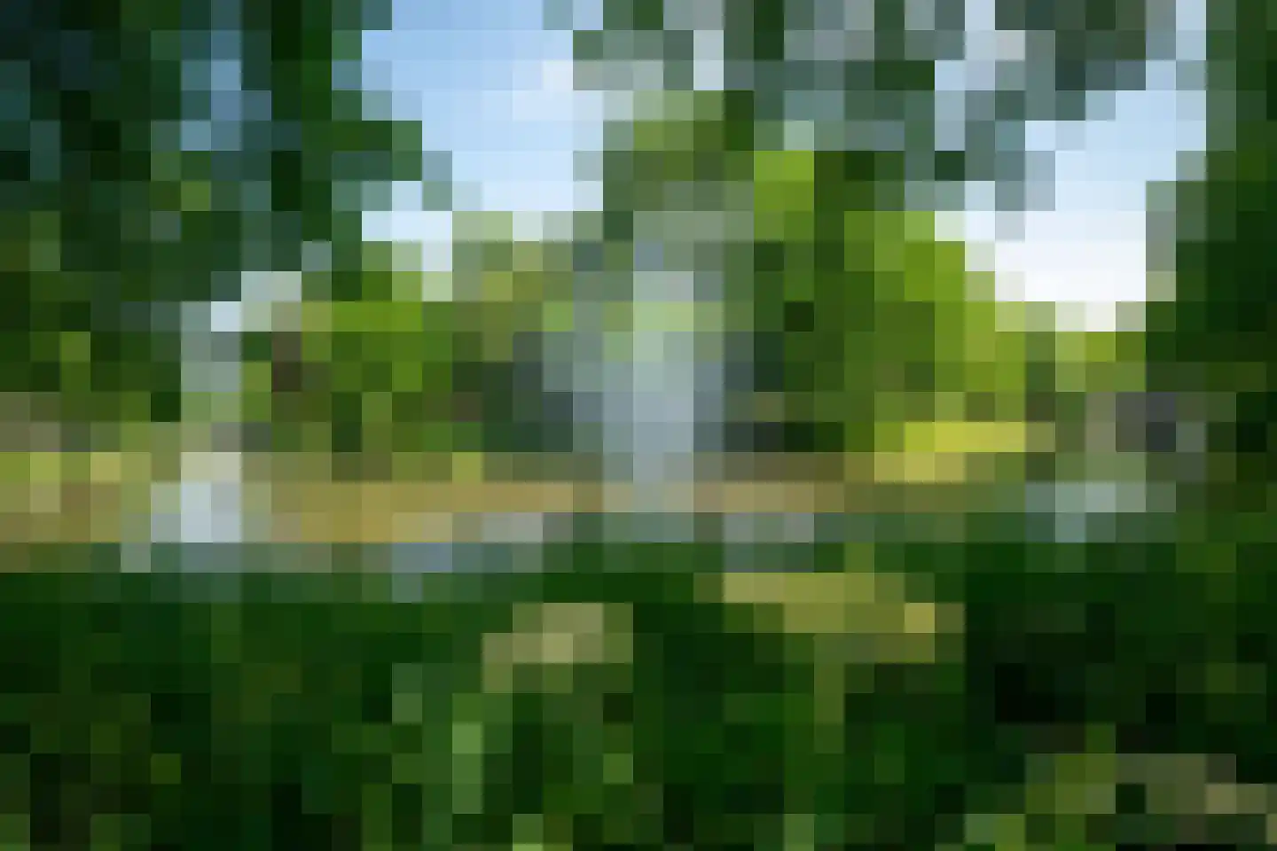 Coornhertstraat 24 Utrecht thumbnail 31