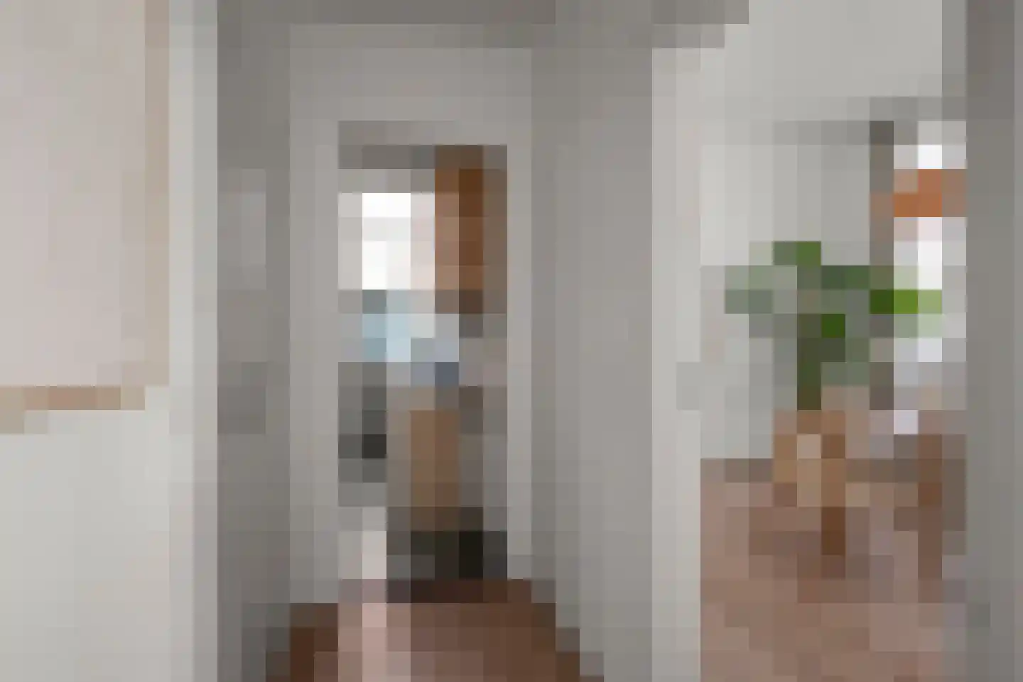 Coornhertstraat 26 ZW Haarlem thumbnail 23
