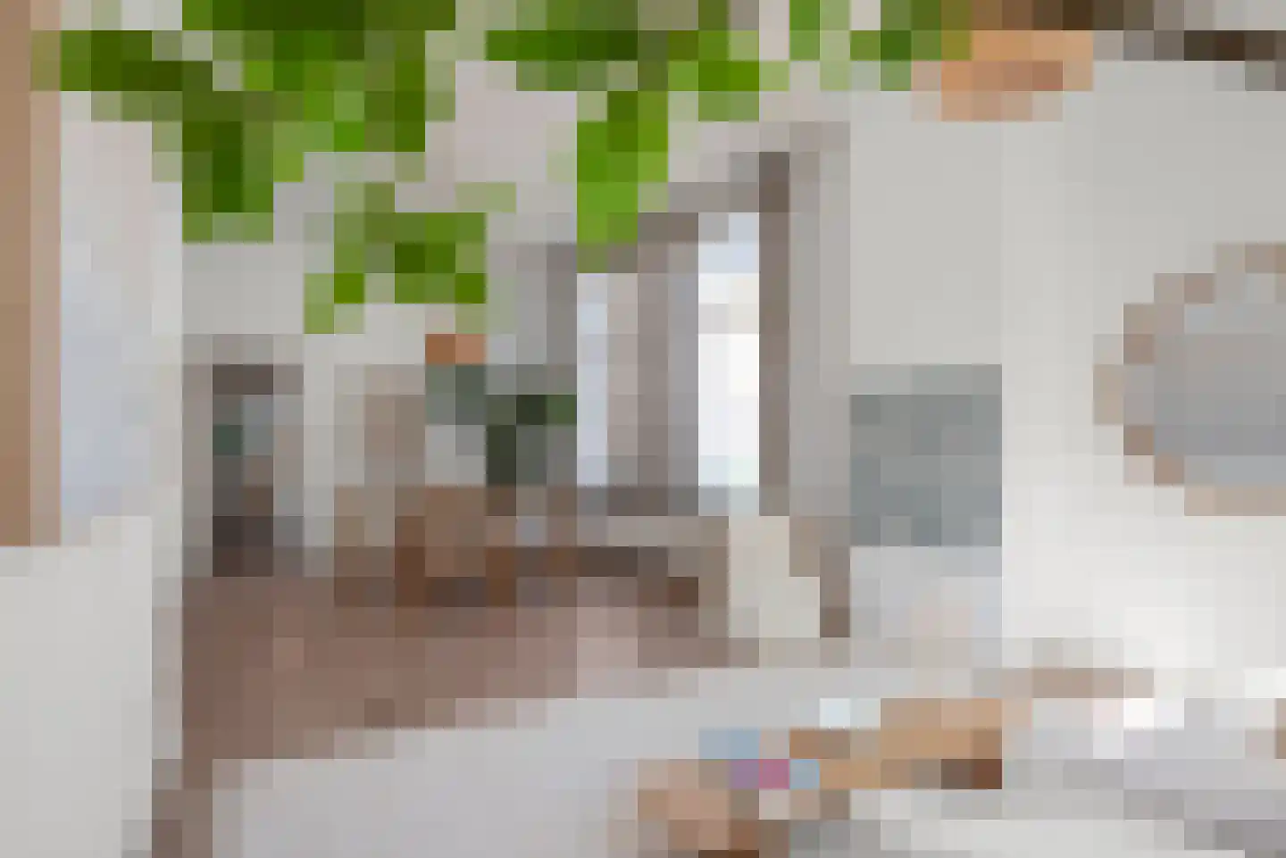 Coornhertstraat 26 ZW Haarlem thumbnail 5