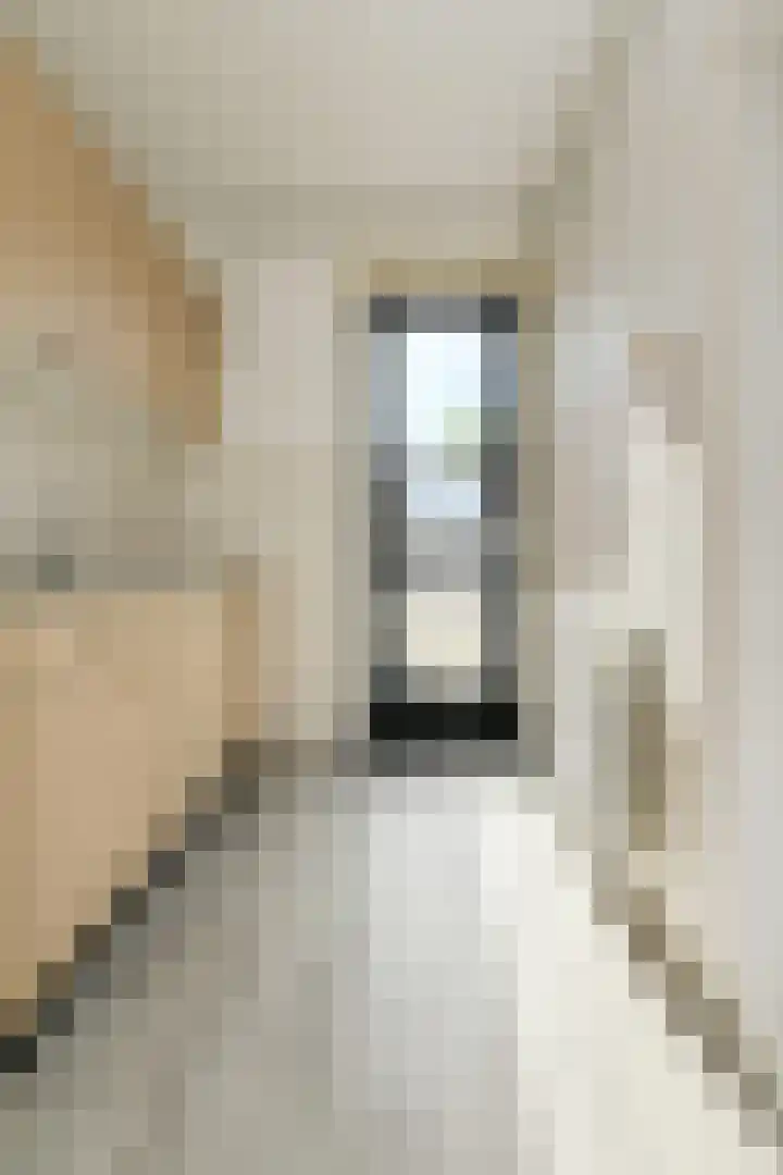 Coornhertstraat 35 Oosterhout thumbnail 10