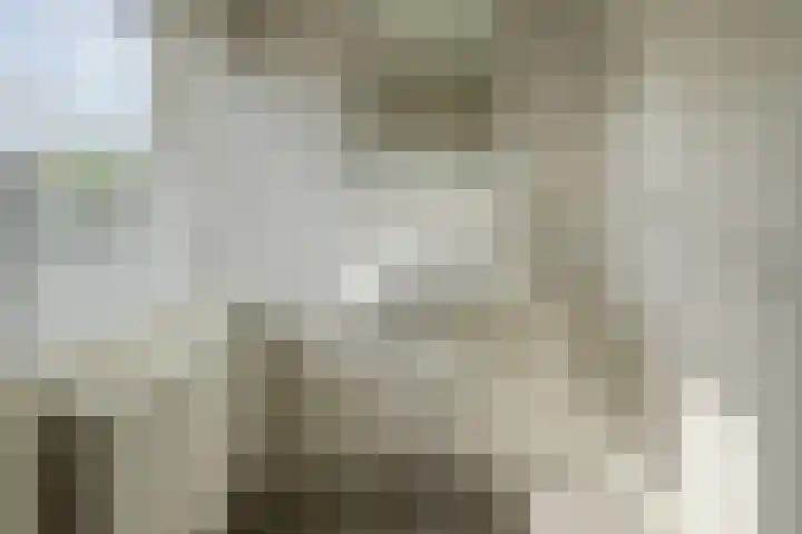Coornhertstraat 35 Oosterhout thumbnail 19