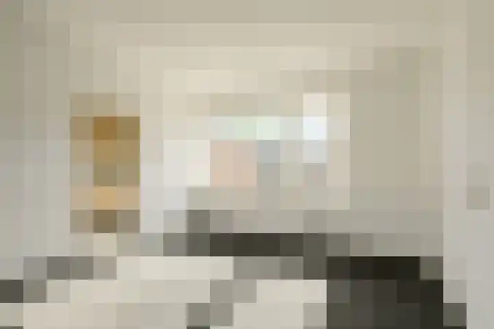 Coornhertstraat 35 Oosterhout thumbnail 7