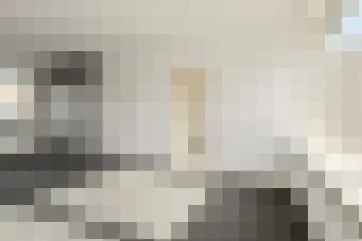 Coornhertstraat 35 Oosterhout thumbnail 8