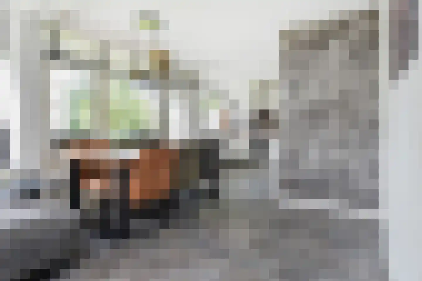 Coornhertstraat 37 Vlaardingen thumbnail 11
