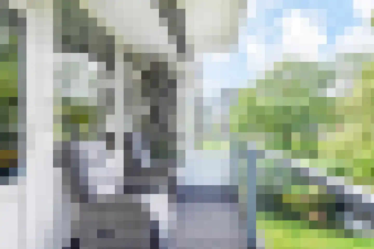 Coornhertstraat 37 Vlaardingen thumbnail 24