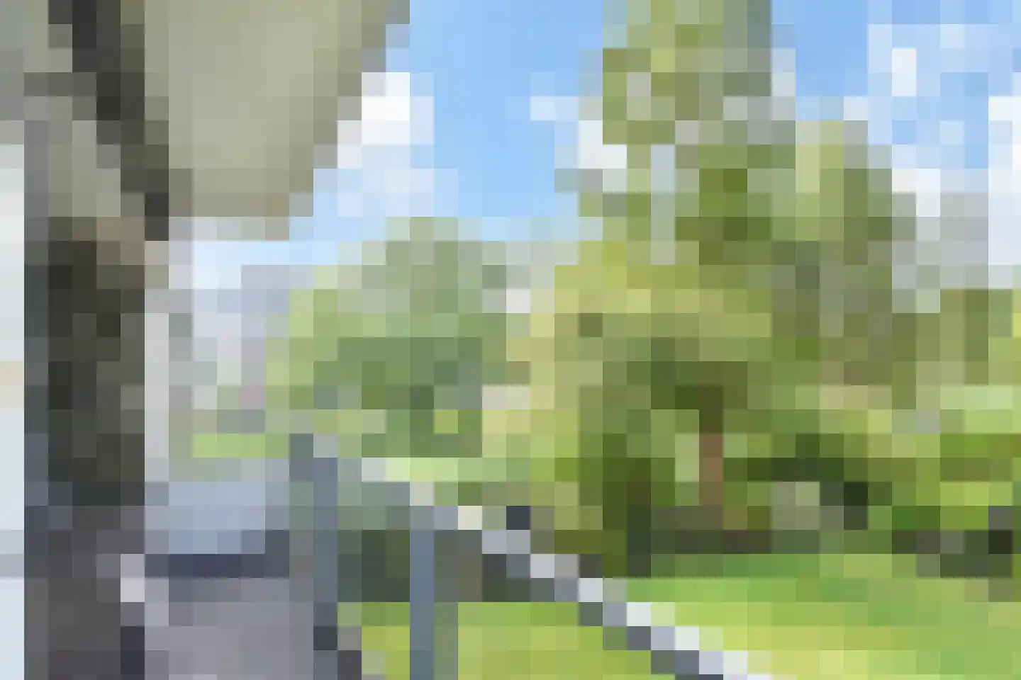 Coornhertstraat 37 Vlaardingen thumbnail 25