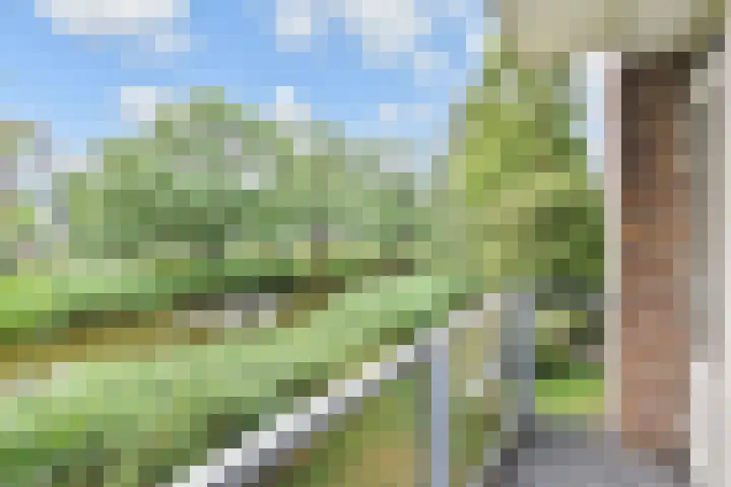 Coornhertstraat 37 Vlaardingen thumbnail 28