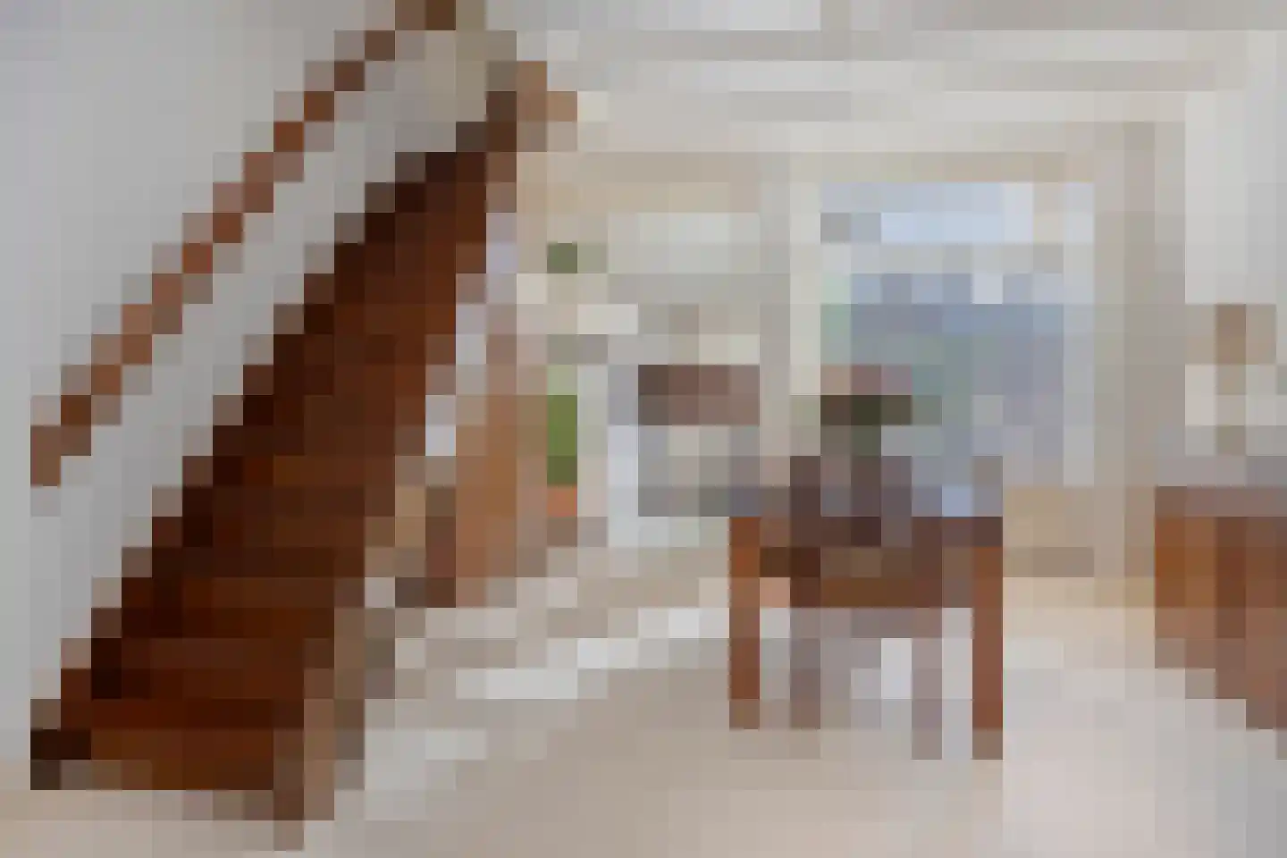 Coornhertstraat 39 Leiden thumbnail 15