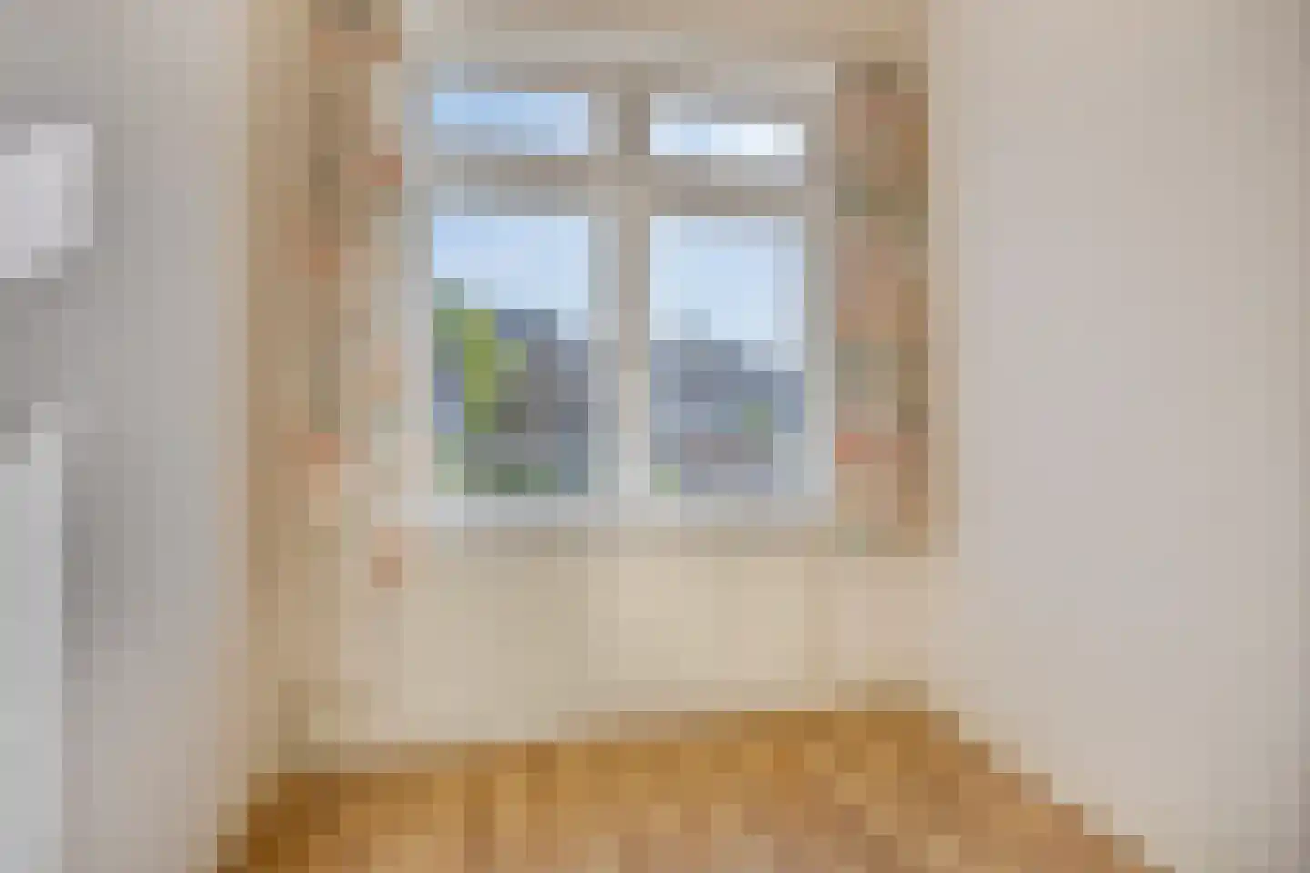 Coornhertstraat 39 Leiden thumbnail 33