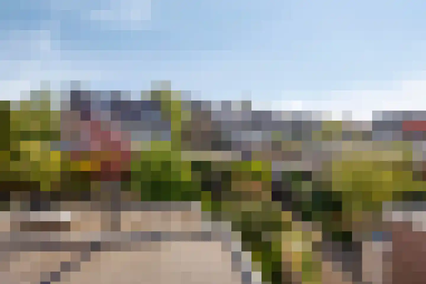 Coornhertstraat 39 Leiden thumbnail 34