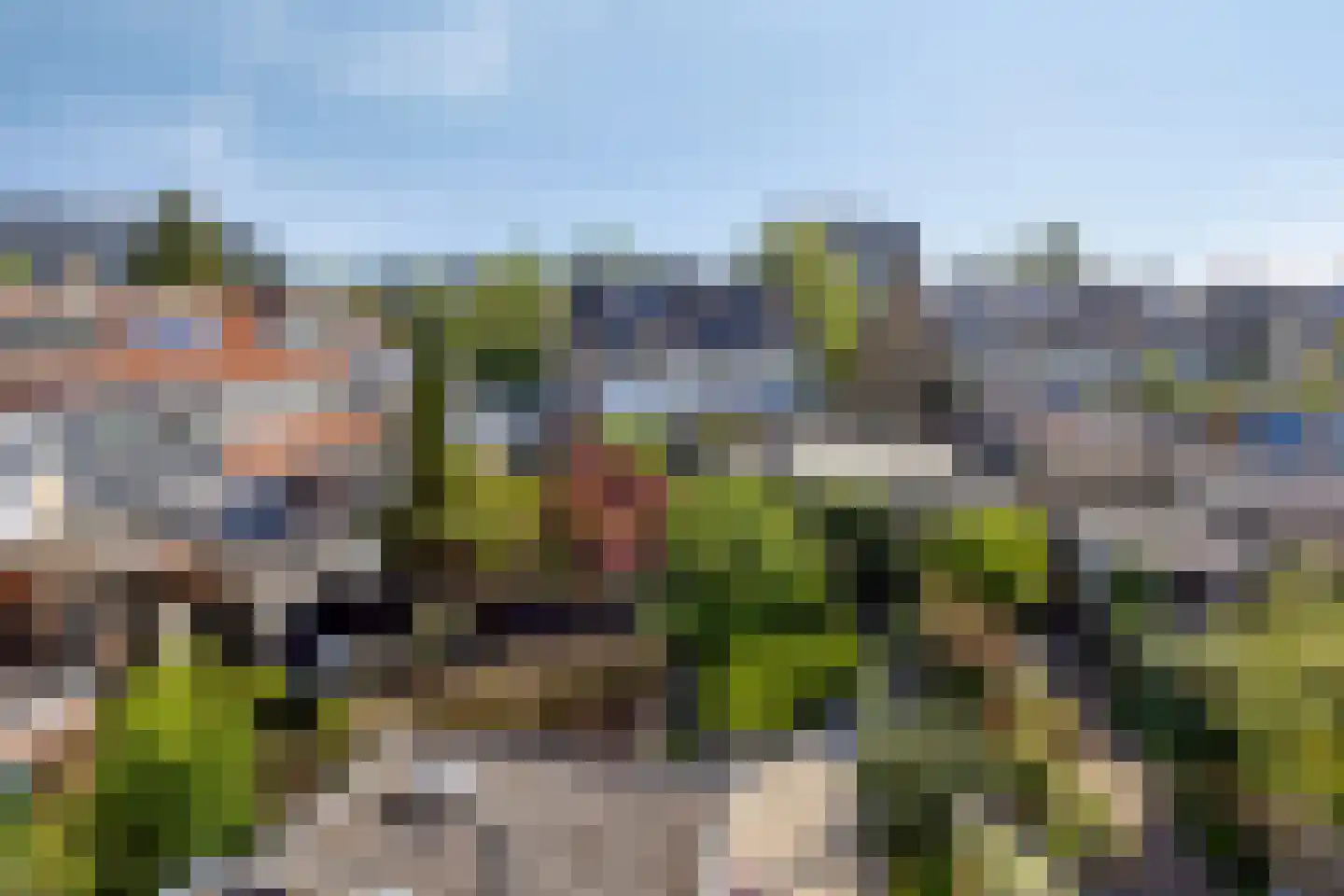 Coornhertstraat 39 Leiden thumbnail 40