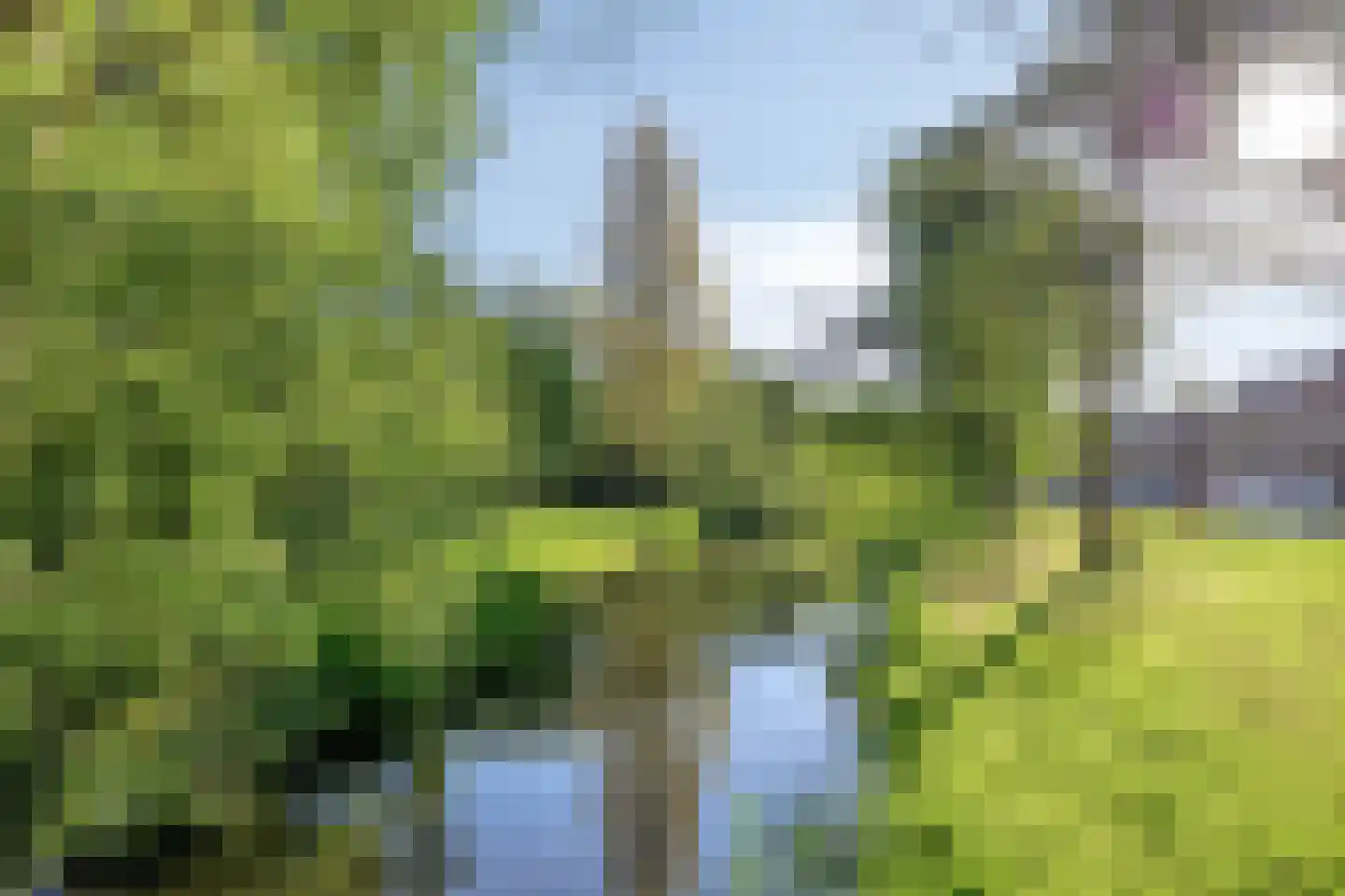 Coornhertstraat 39 Leiden thumbnail 47