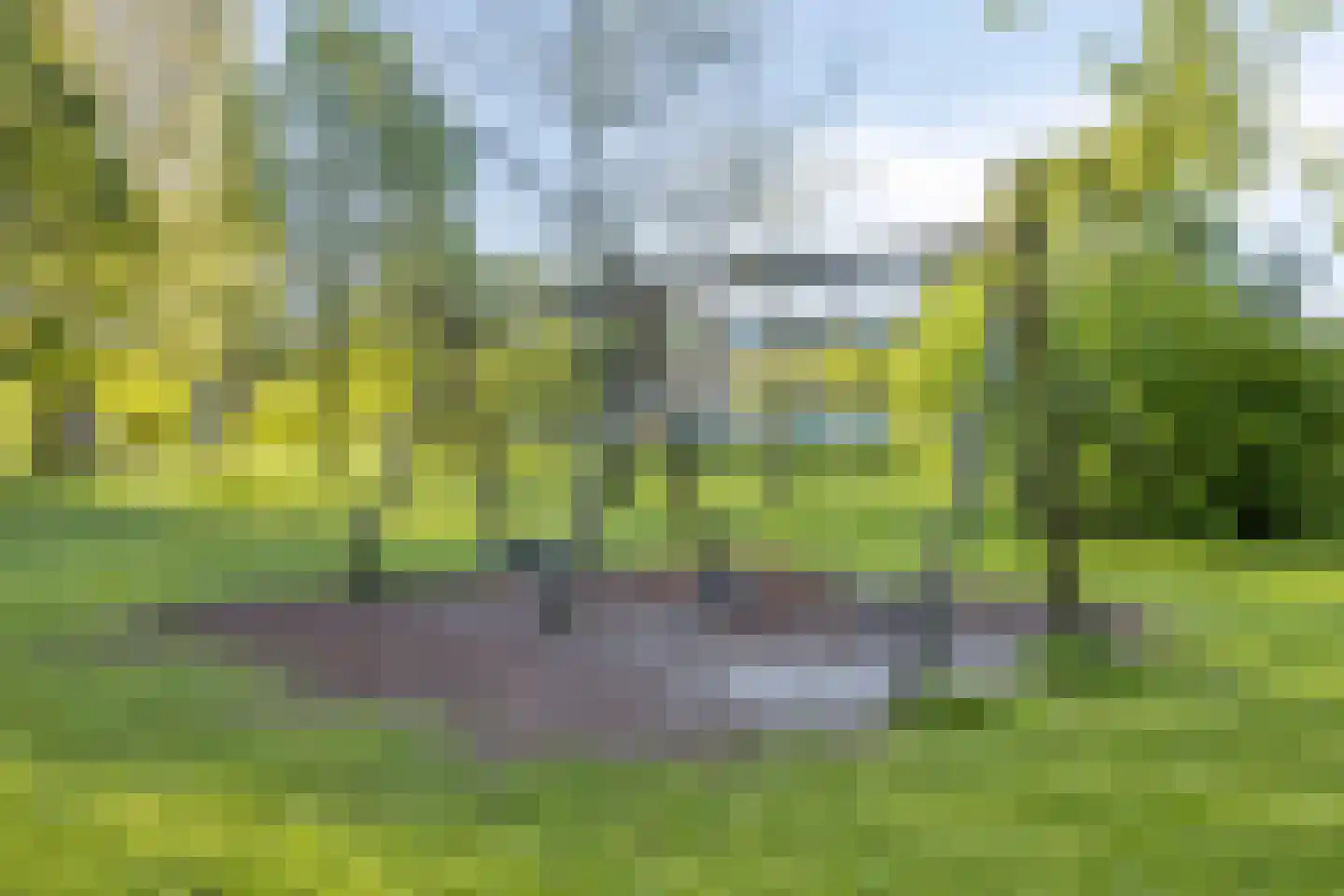 Coornhertstraat 39 Leiden thumbnail 50
