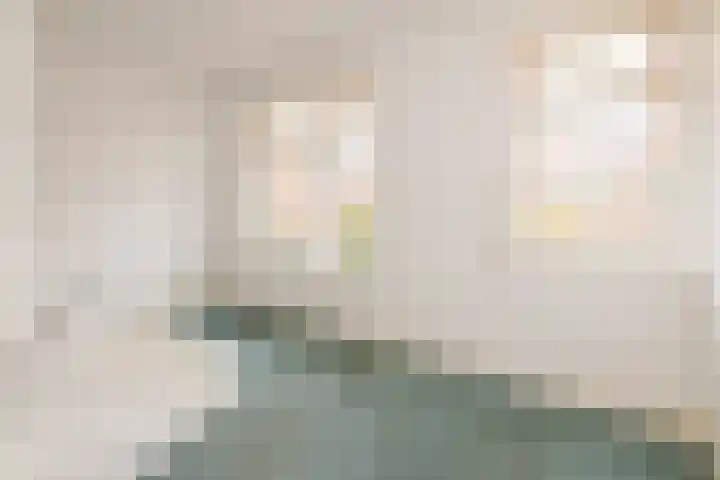 Coornhertstraat 42 Leiden thumbnail 29
