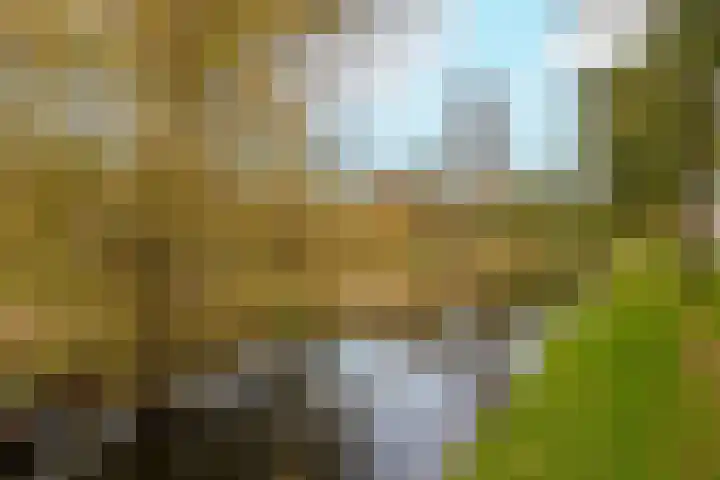 Coornhertstraat 42 Leiden thumbnail 5