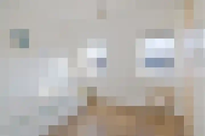 Coornhertstraat 42 Utrecht thumbnail 35
