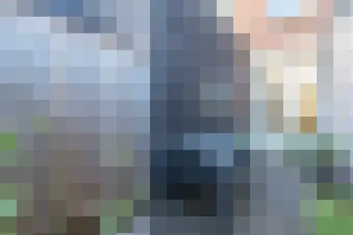 Coornhertstraat 43 Utrecht thumbnail 13