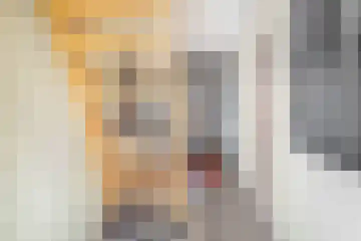 Coornhertstraat 43 Utrecht thumbnail 16